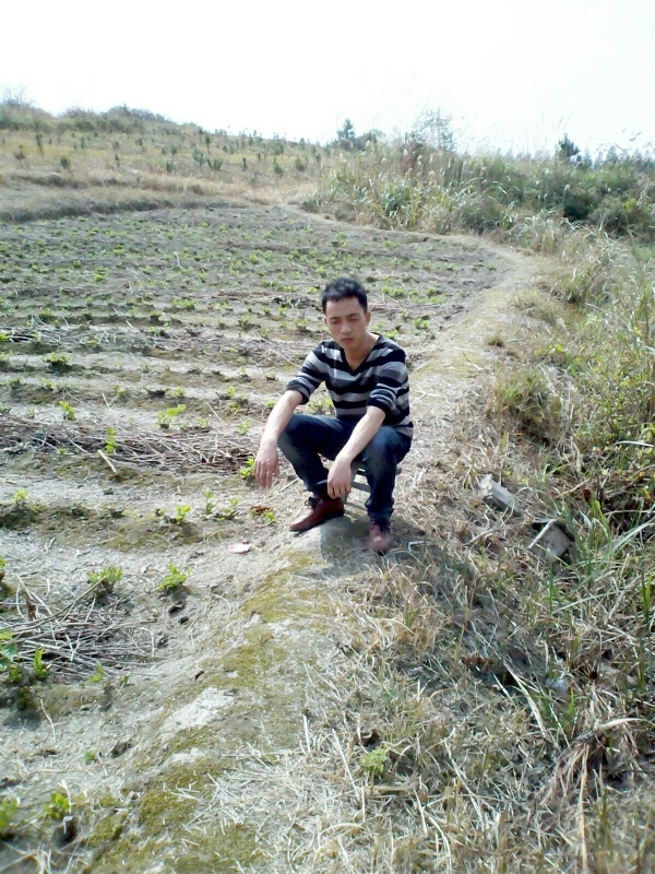 你好的第一张照片--河池蓝颜知己交友网